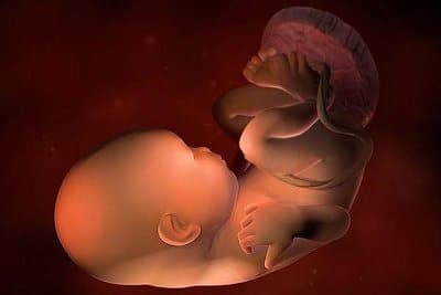 φωτoγραφία εμβρύου 36 εβδομάδων