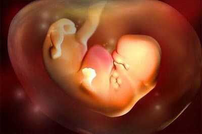 φωταγραφία εμβρύου 6 εβδομάδα