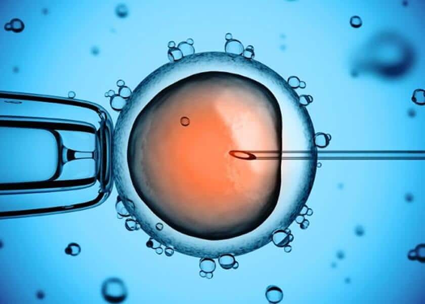 Εξωσωματική Γονιμοποίηση: Η διαδικασία