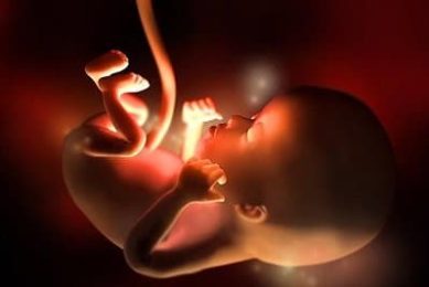 φωταγραφία εμβρύου 12 εβδομάδων